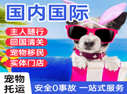 琼海空运国际宠物托运 【国